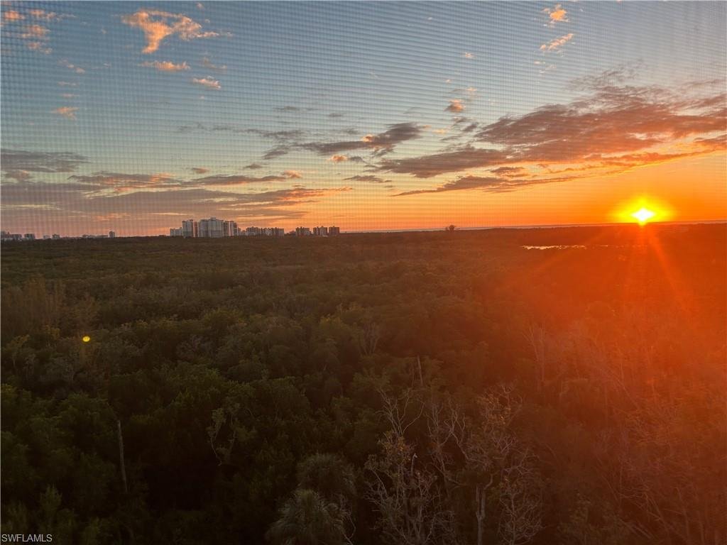 Condo in Bonita Springs, Florida, United States 2 - 16606815