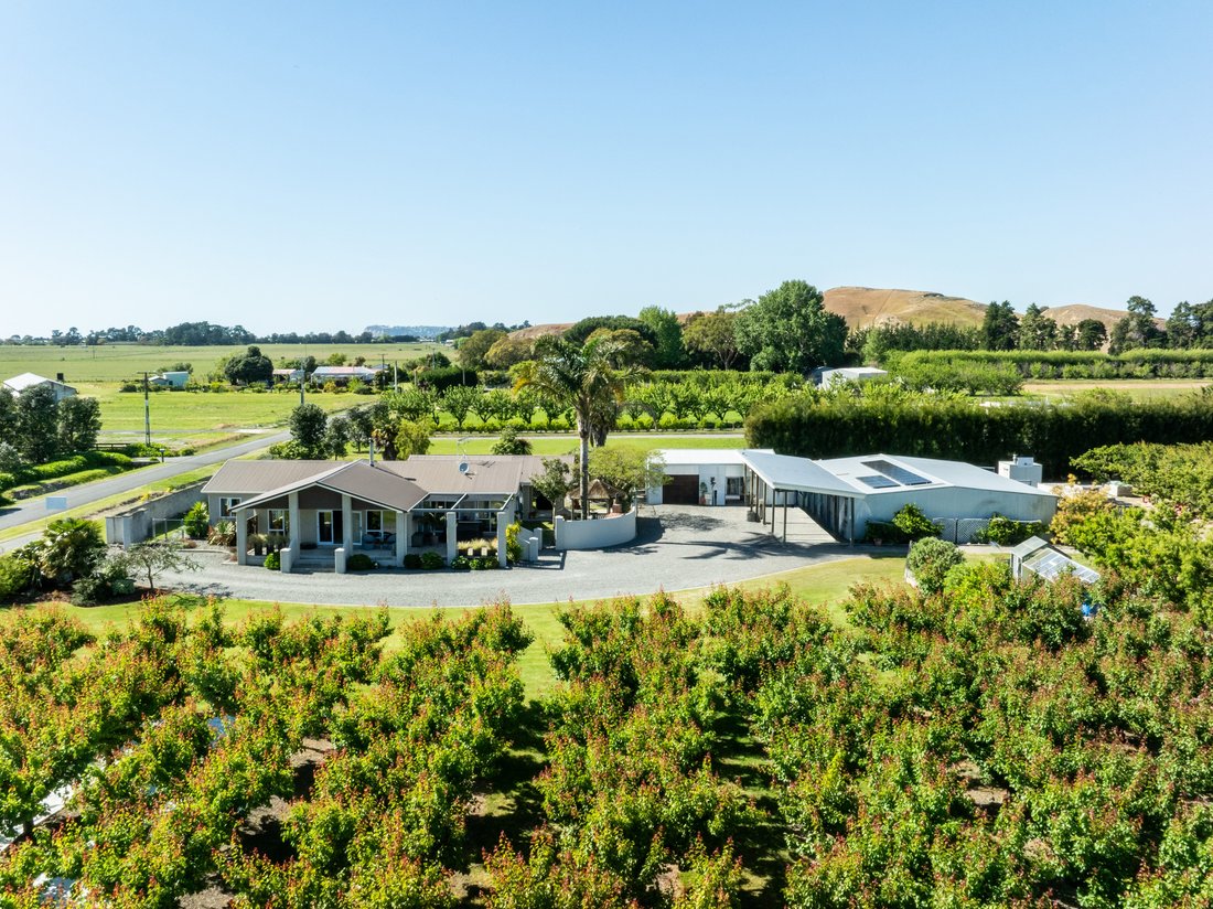 Land in Napier, Hawke's Bay, New Zealand 1 - 16606713