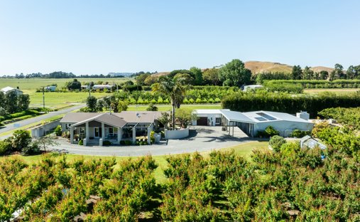 Land in Napier, Hawke's Bay, New Zealand 1