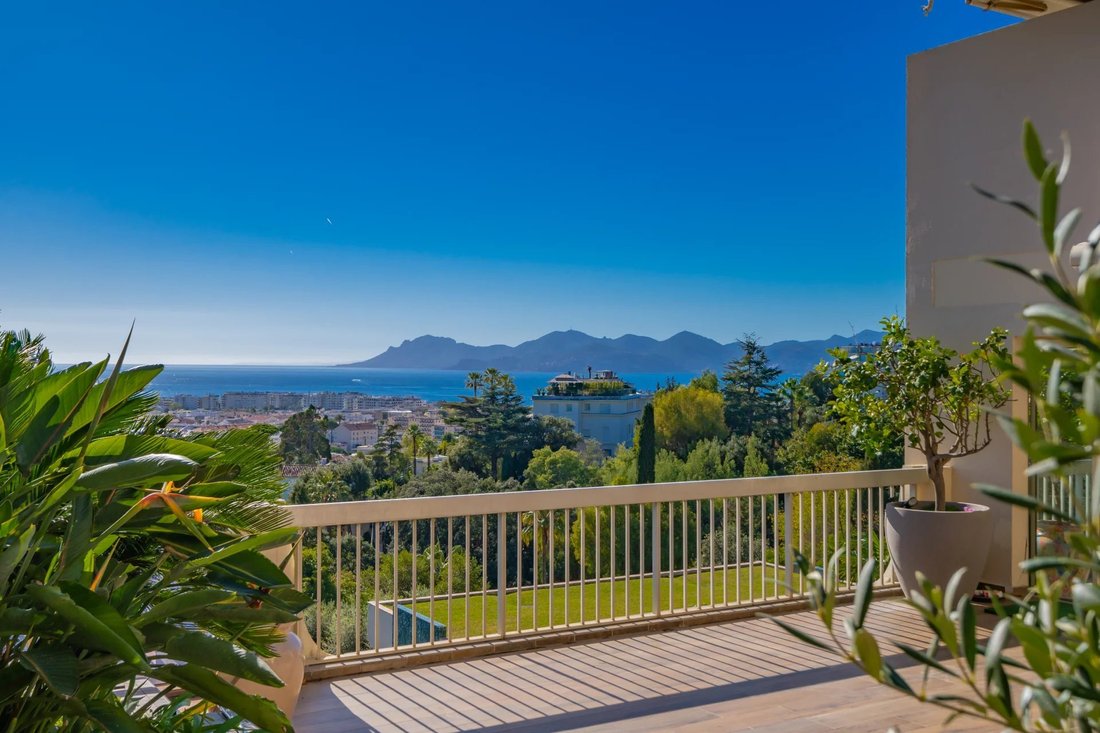 Apartment in La Californie, Cannes, France 3 - 16606647