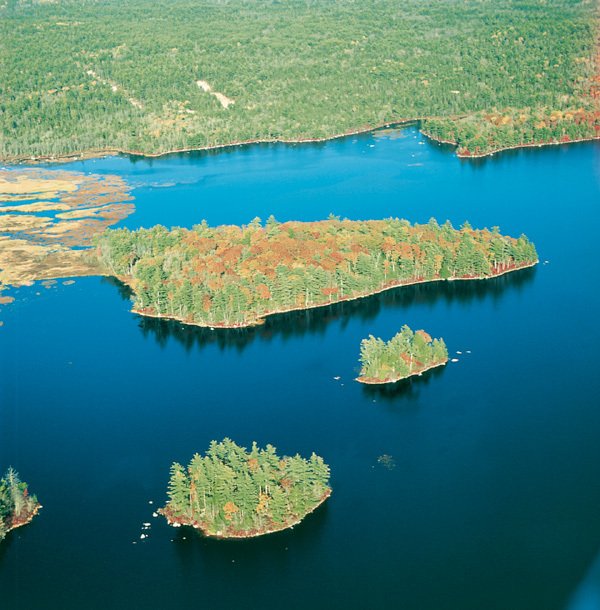 Private Island in Back Lake, Canada 1 - 16607194