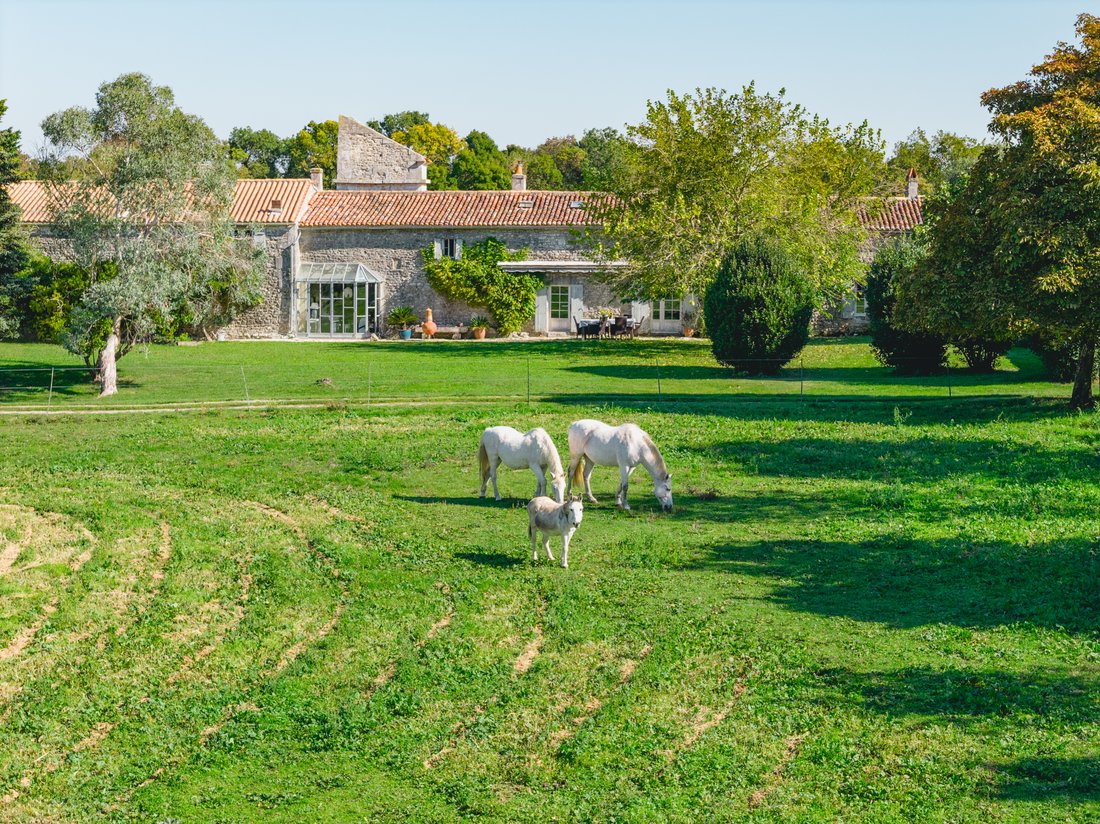 Estate in Soubise, Nouvelle-Aquitaine, France 2 - 16607506