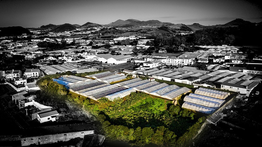 Land in Rosto do Cao (Sao Roque), Azores, Portugal 1 - 16608441