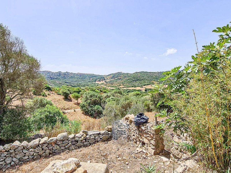 Estate in Santa Teresa Gallura, Sardinia, Italy 3 - 16607934