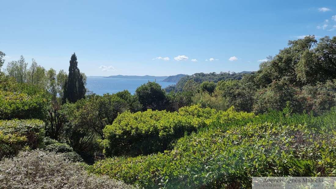 Estate in Rayol-Canadel-sur-Mer, Provence-Alpes-Côte d'Azur, France 4 - 16608348