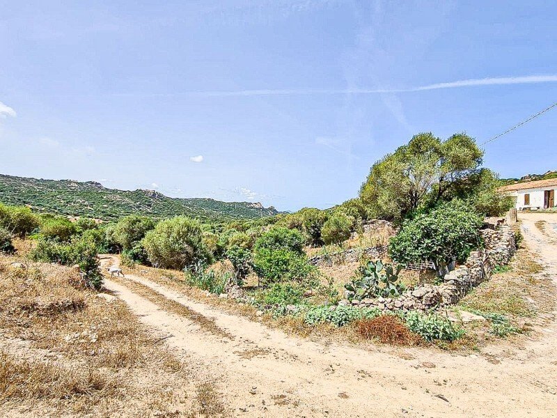 Estate in Santa Teresa Gallura, Sardinia, Italy 2 - 16607934