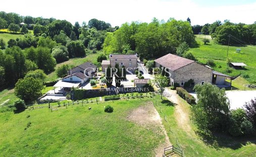 Castle for Sale in Nontron, Nouvelle-Aquitaine, France