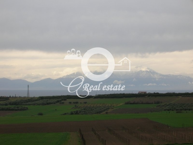 House in Nea Propontida, Macedonia and Thrace, Greece 4 - 16607671