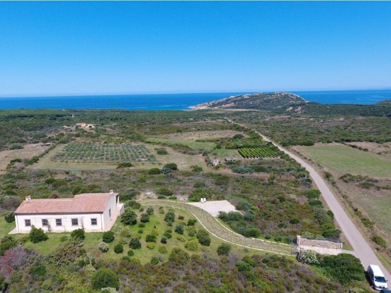Estate in Aglientu, Sardinia, Italy 4 - 16607813