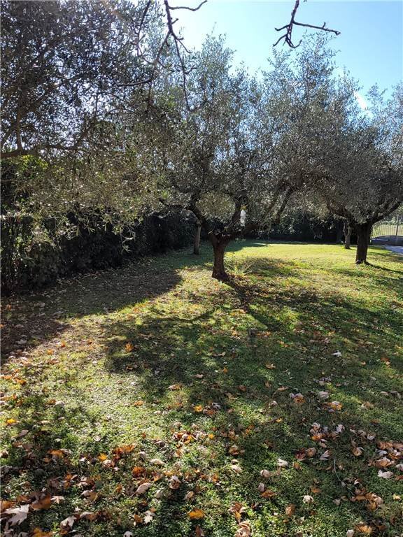 Villa in Center, Sarzana, Liguria 5 - 16607849