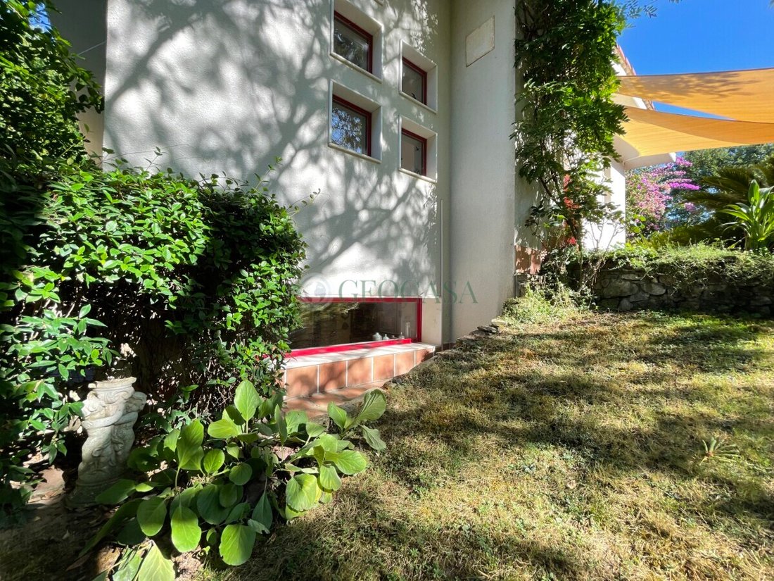 Villa in Center, Sarzana, Liguria 3 - 16608008