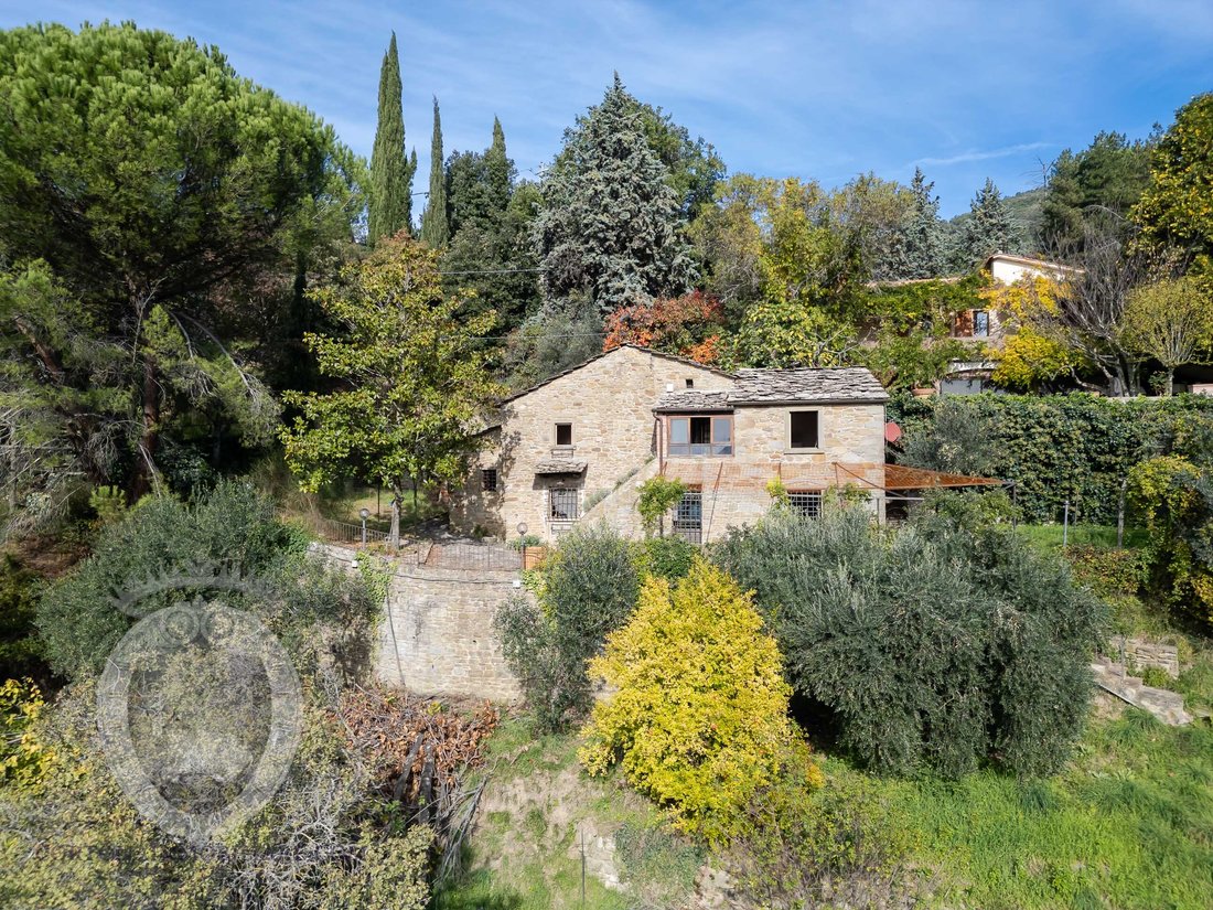 Country House in Center, Cortona, Tuscany 1 - 16608072