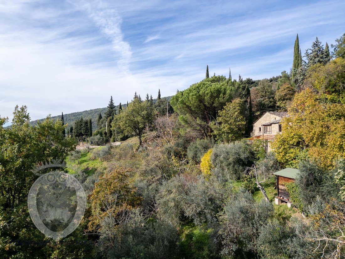 Country House in Center, Cortona, Tuscany 5 - 16608072