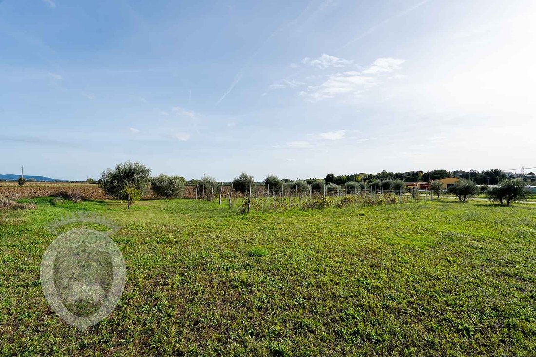 Country House in Center, Cortona, Tuscany 4 - 16608390
