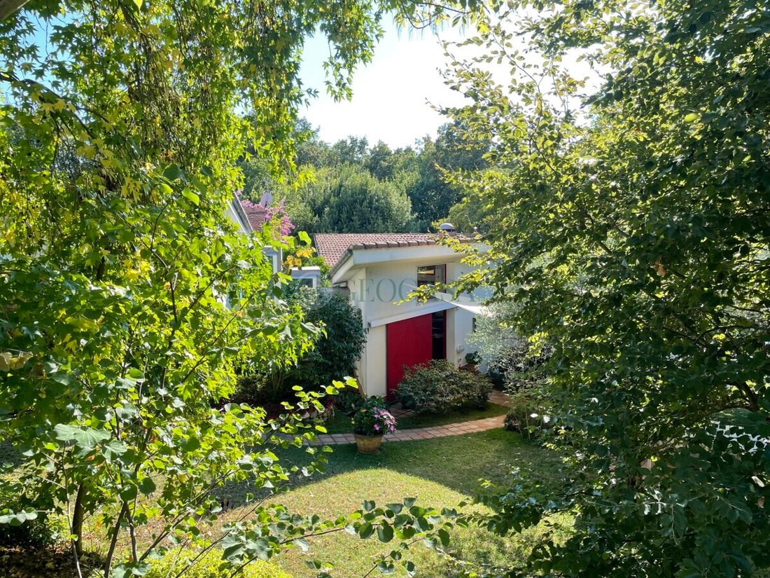 Villa in Center, Sarzana, Liguria 5 - 16608008