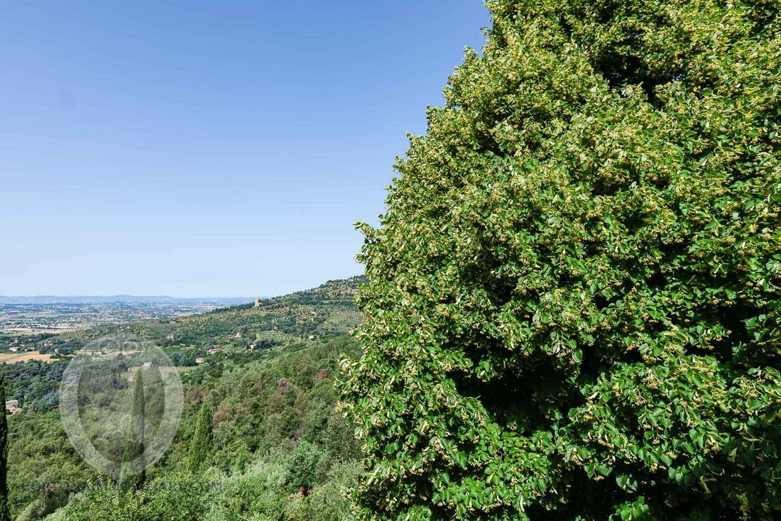 Country House in Center, Cortona, Tuscany 3 - 16608440