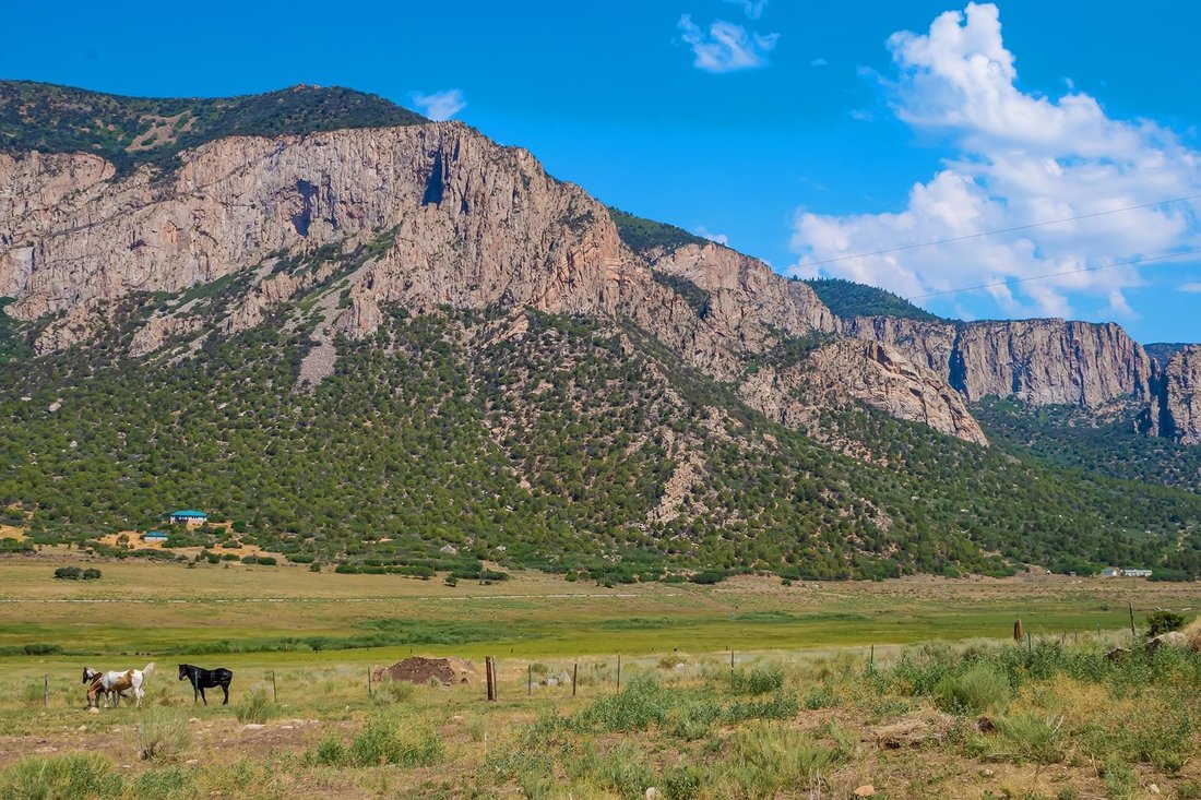 House in Whitewater, Colorado, United States 2 - 16607449