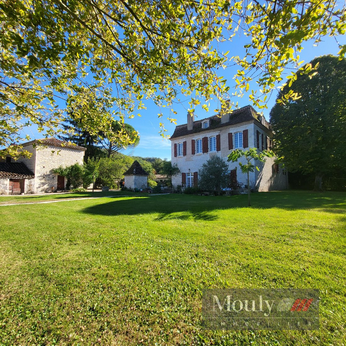 Castle in Montcuq-en-Quercy-Blanc, Occitania, France 3 - 16608282