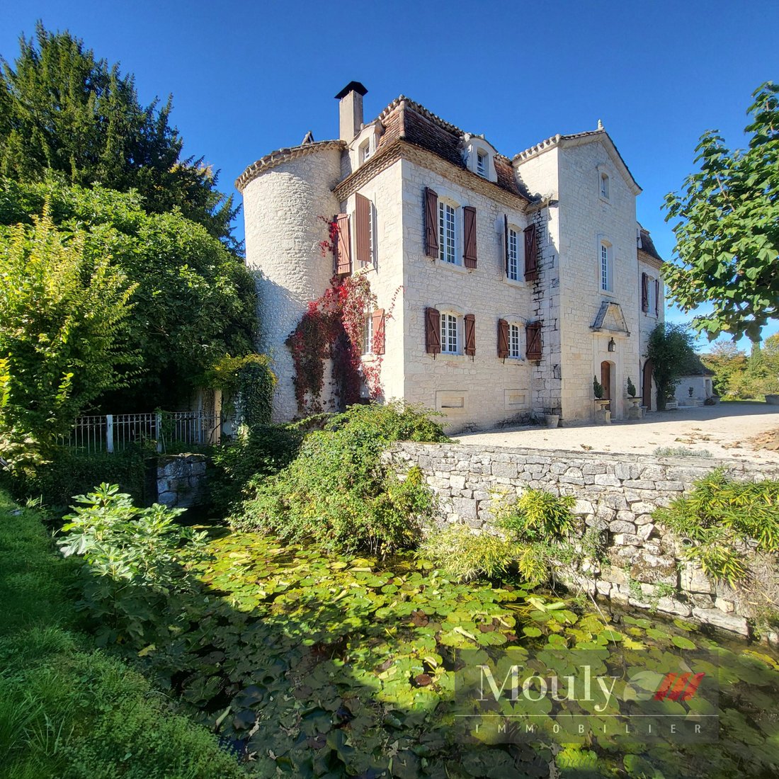 Castillo en Montcuq-en-Quercy-Blanc, Occitania, Francia 5 - 16608282