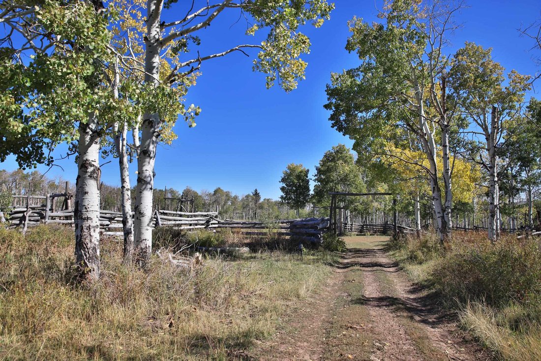 House in Gateway, Colorado, United States 4 - 16607456