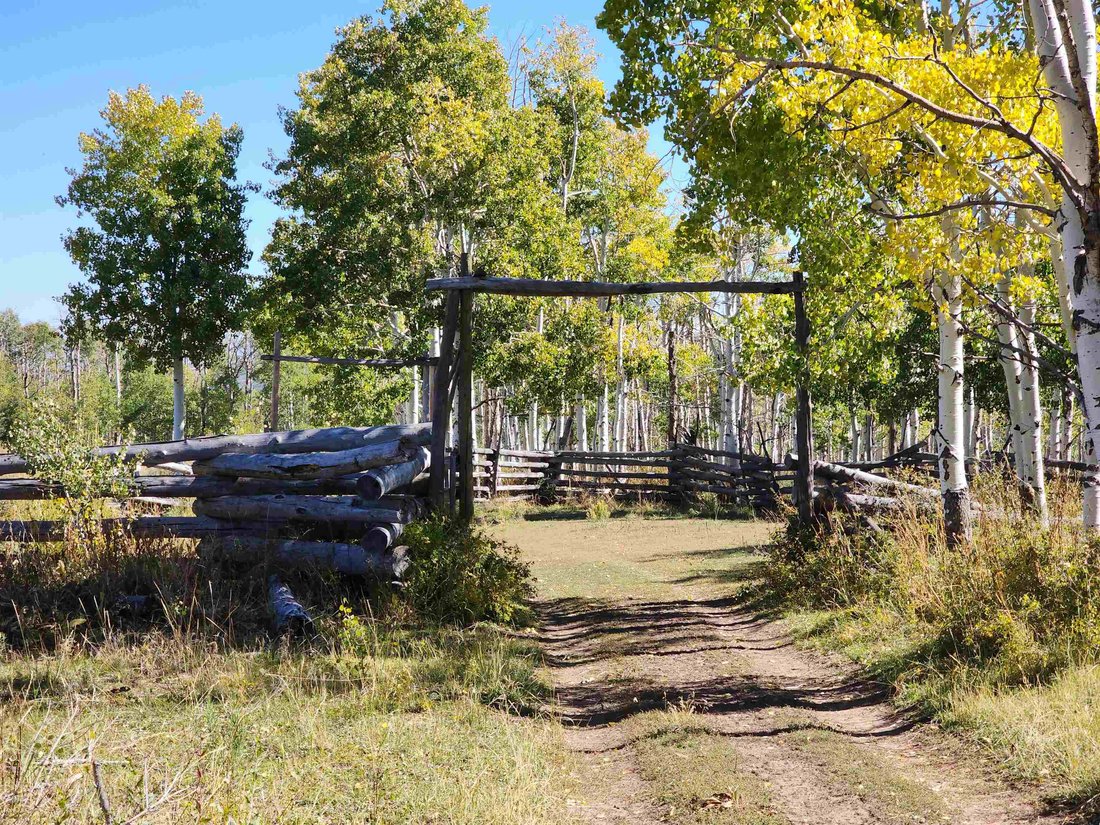 House in Gateway, Colorado, United States 5 - 16607456