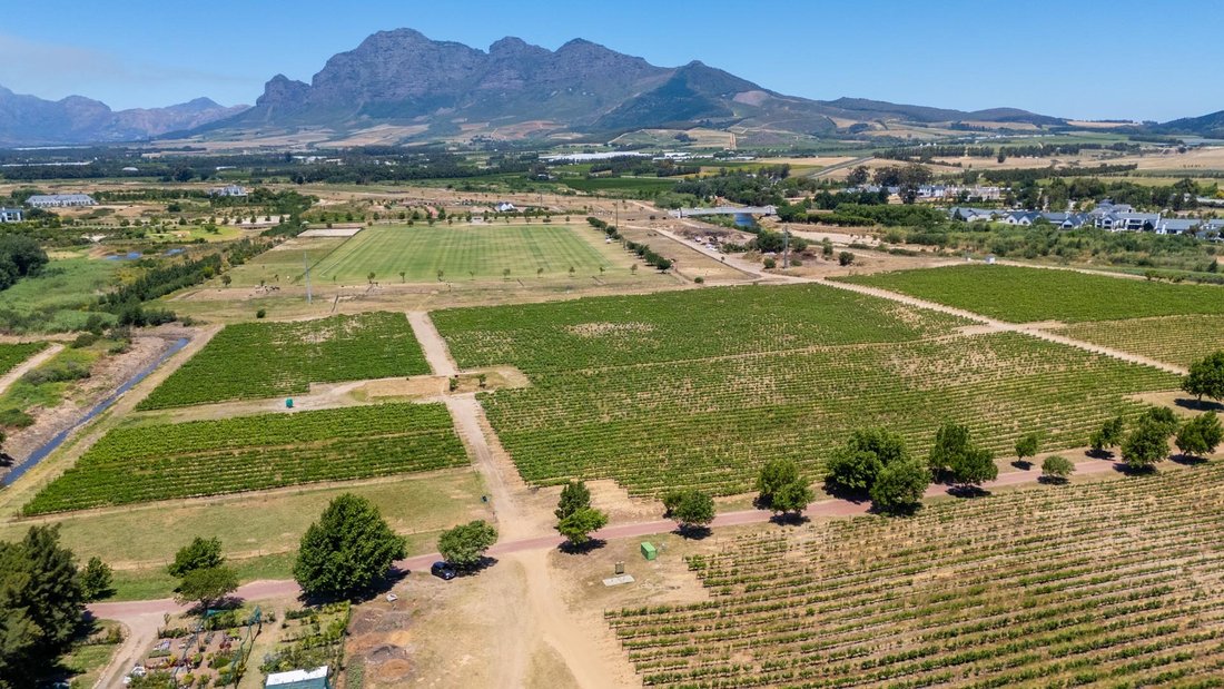 Farm Ranch in Val de Vie, Westkap, Südafrika 5 - 16615334