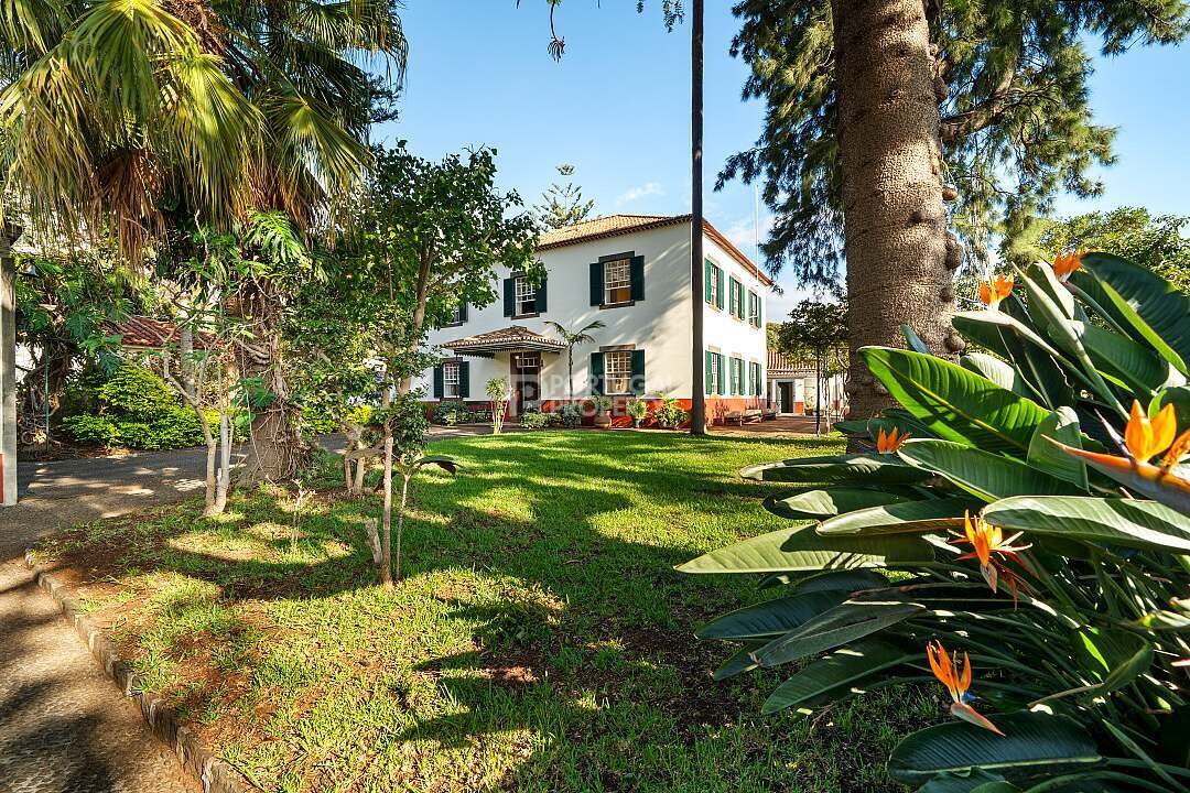 Villa a São Roque, Madera, Portogallo 4 - 16561234