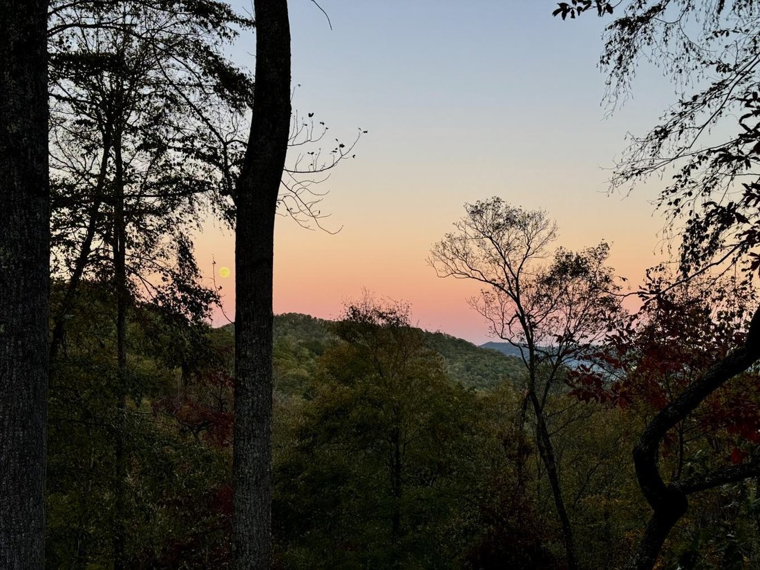 House in Hendersonville, North Carolina, United States 5 - 16611229