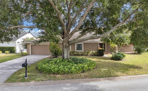 House in Orlando, Florida, United States 1