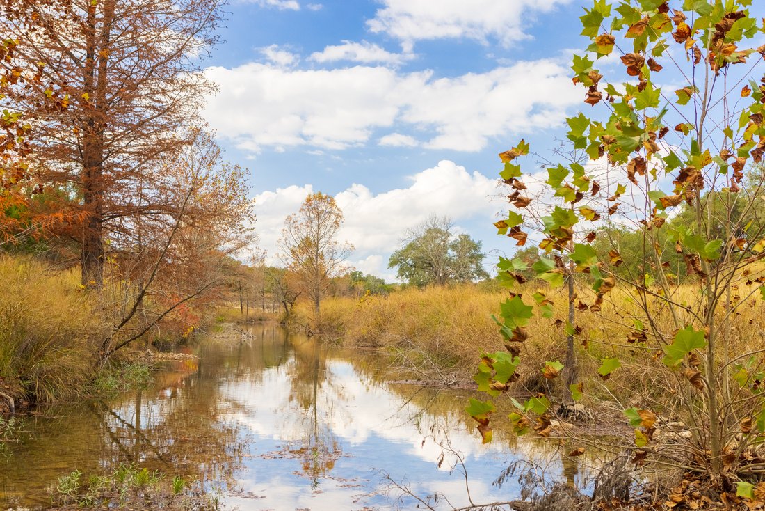 Land in Dripping Springs, Texas, United States 5 - 16610742
