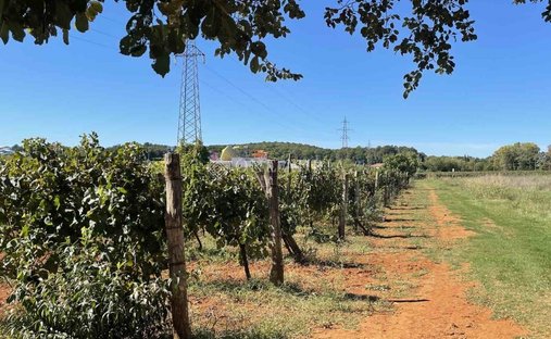 Land in Mugeba -, Istria County, Croatia 1