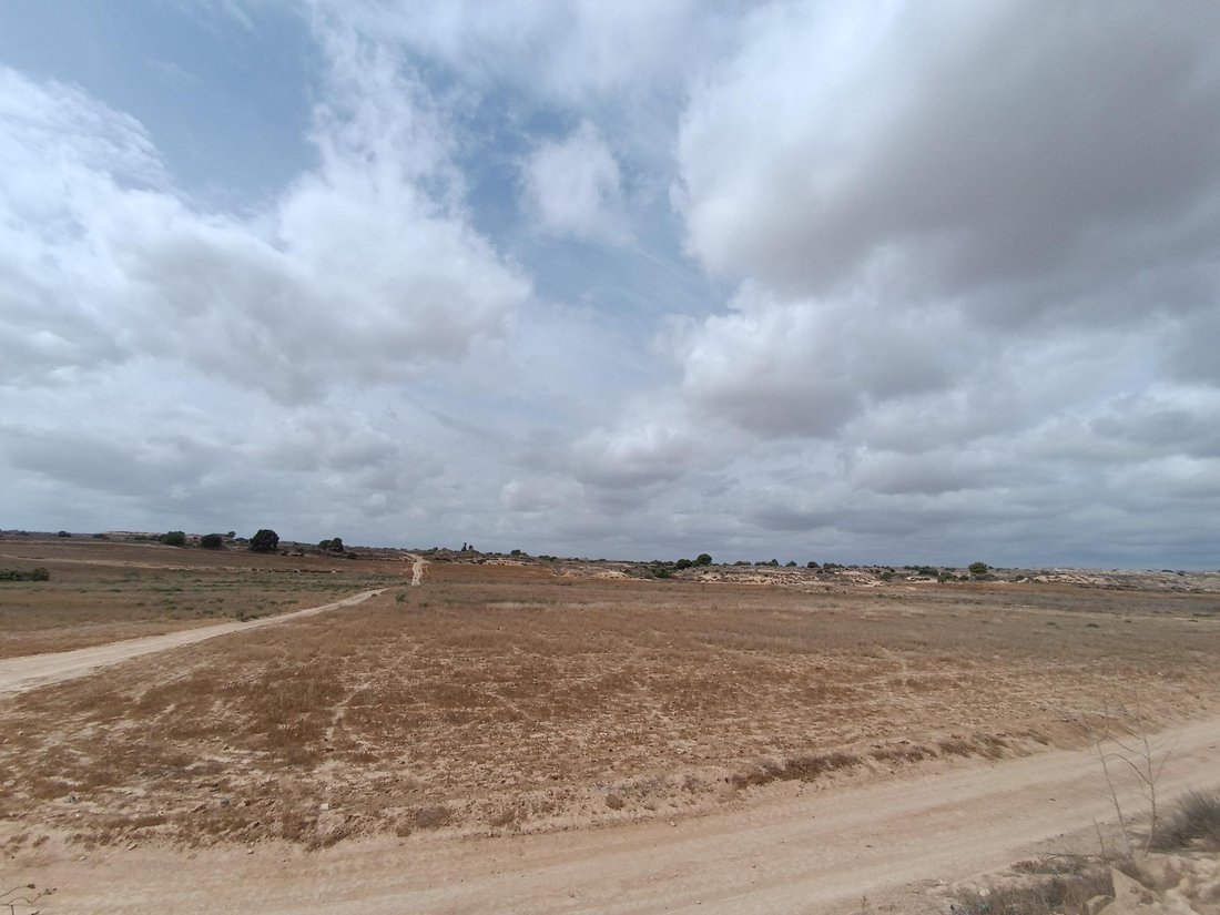 Sucina, Murcia, Región de Murcia 4 - 16615691