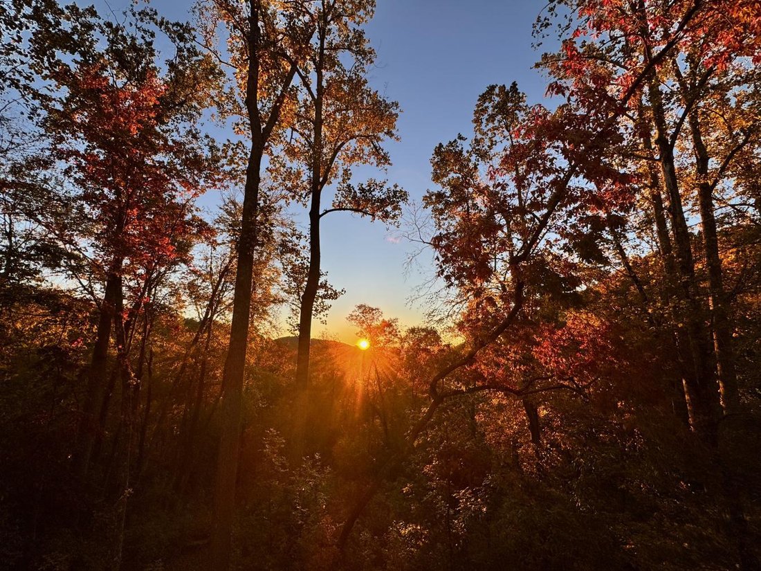 House in Hendersonville, North Carolina, United States 4 - 16611229