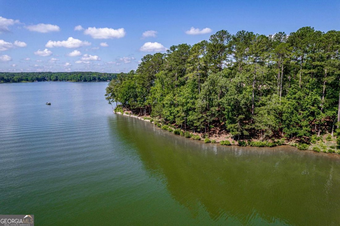 Land in Greensboro, Georgia, United States 2 - 16610251