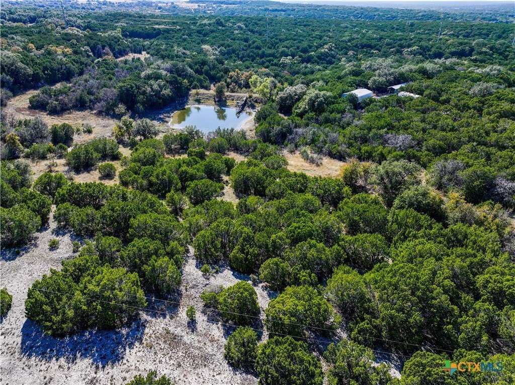 Farm Ranch in Salado, Texas, United States 3 - 16615677