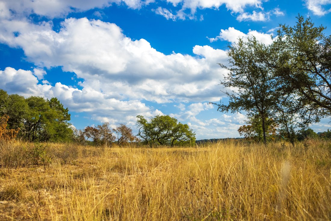 Land in Dripping Springs, Texas, United States 1 - 16610742