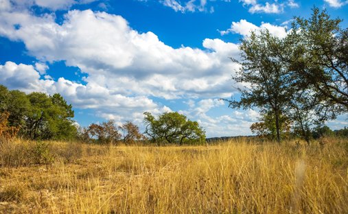 Terreno a Dripping Springs, Texas, Stati Uniti 1