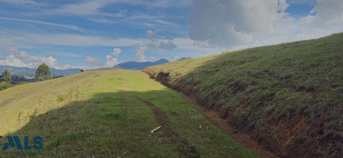 Land in Rionegro, Rionegro, Colombia 5 - 16615495
