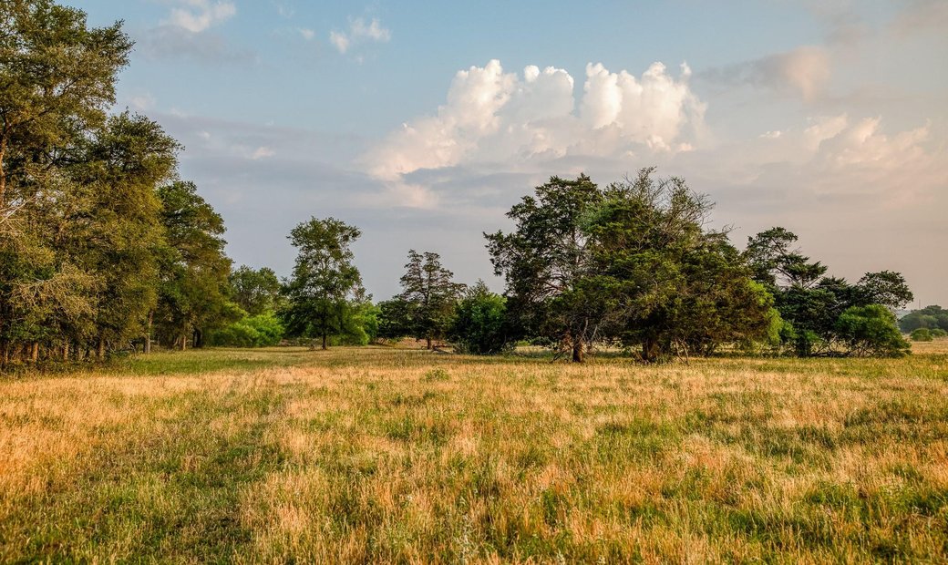 196 Willy Rd Bastrop Texas In Bastrop Texas United States For Rent