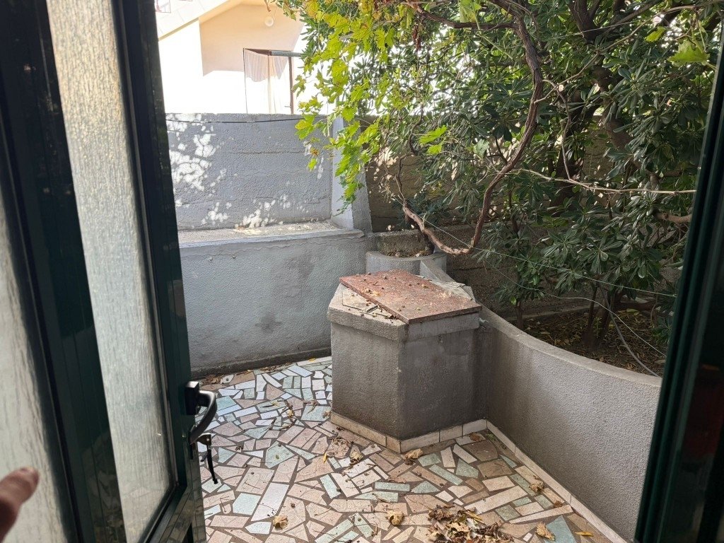 Kolan, Croatia 5 - 16609863