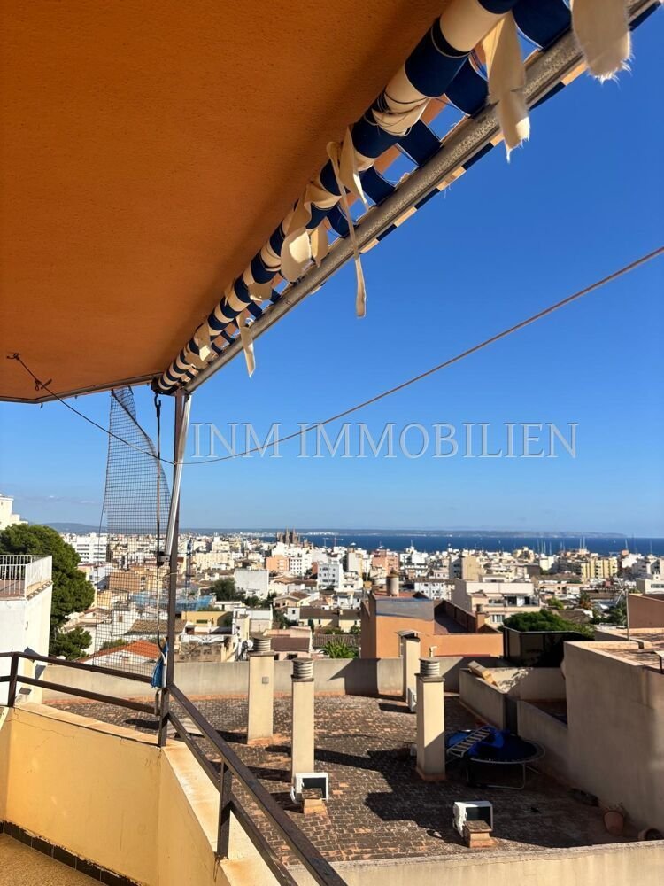 Apartment in Palma, Balearic Islands, Spain 3 - 16612857