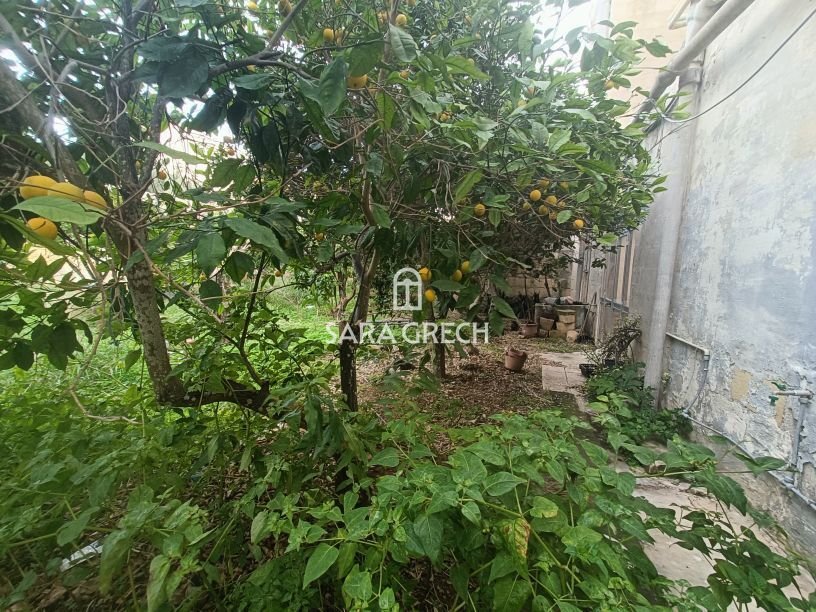 Townhouse in Haz-Zebbug, Malta 5 - 16611050