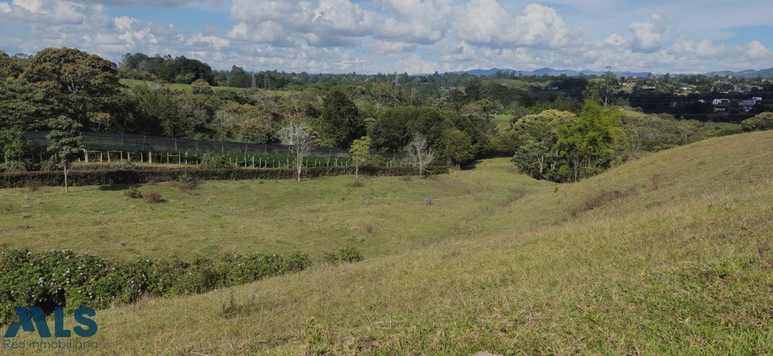 Land in Rionegro, Rionegro, Colombia 4 - 16615495