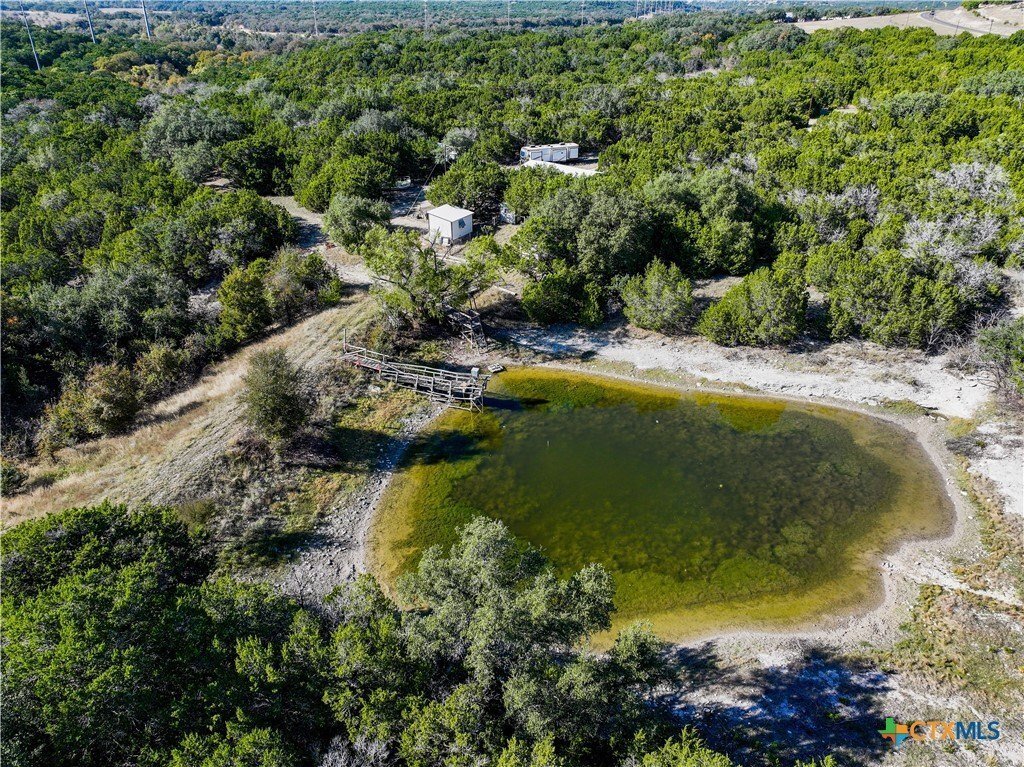Farm Ranch in Salado, Texas, United States 5 - 16615677