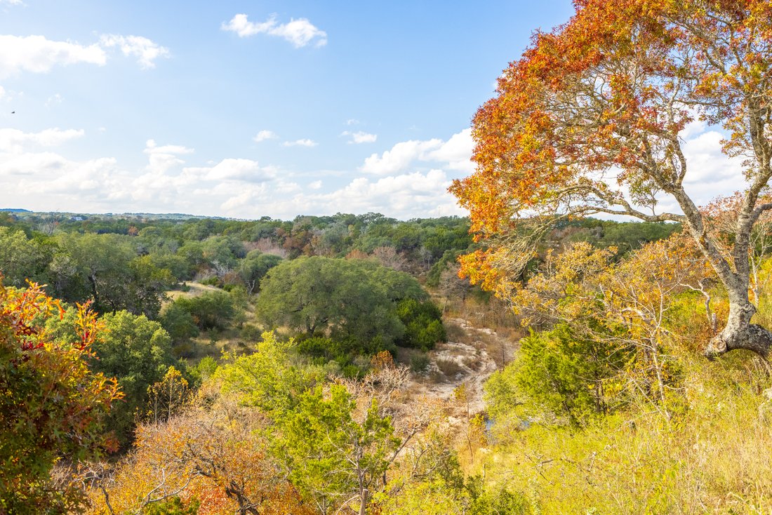 Land in Dripping Springs, Texas, United States 4 - 16610742