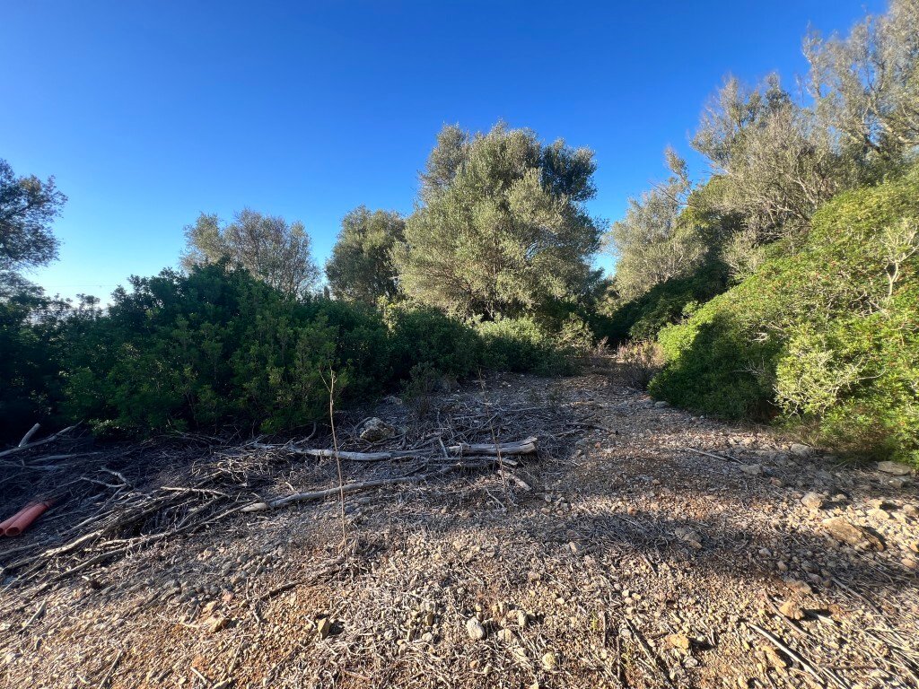 Land in Alcudia, Balearic Islands, Spain 5 - 16609131