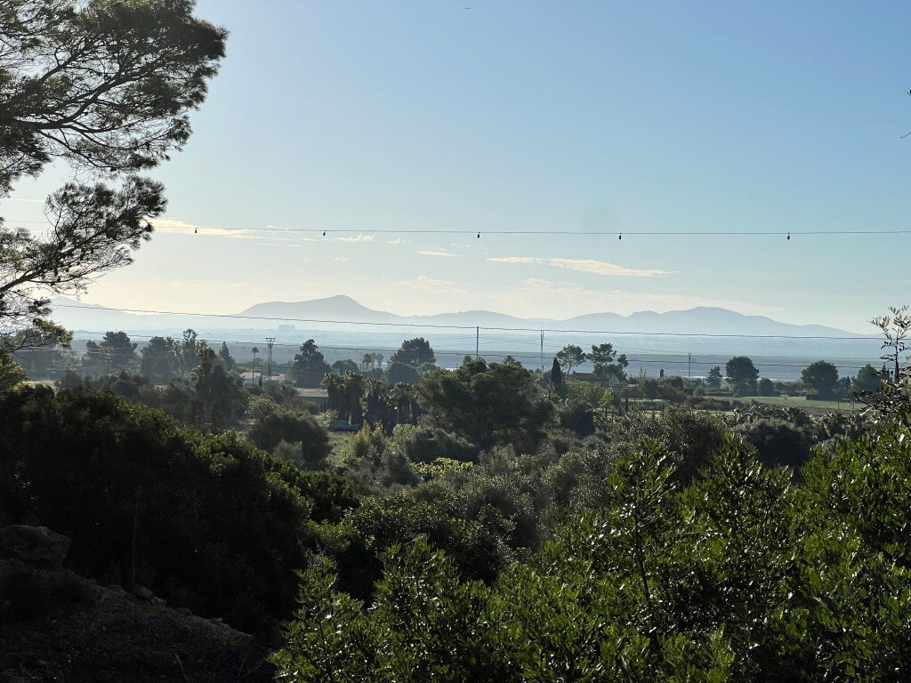 Land in Alcudia, Balearic Islands, Spain 3 - 16609131