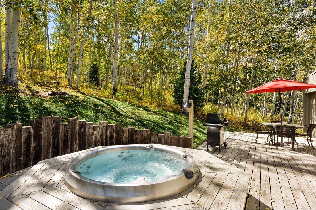House in Snowmass Village, Colorado, United States 3 - 16609920