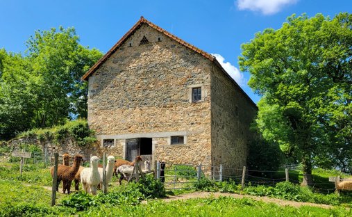 Castle for Sale in Villefranche-de-Rouergue, Occitanie, France