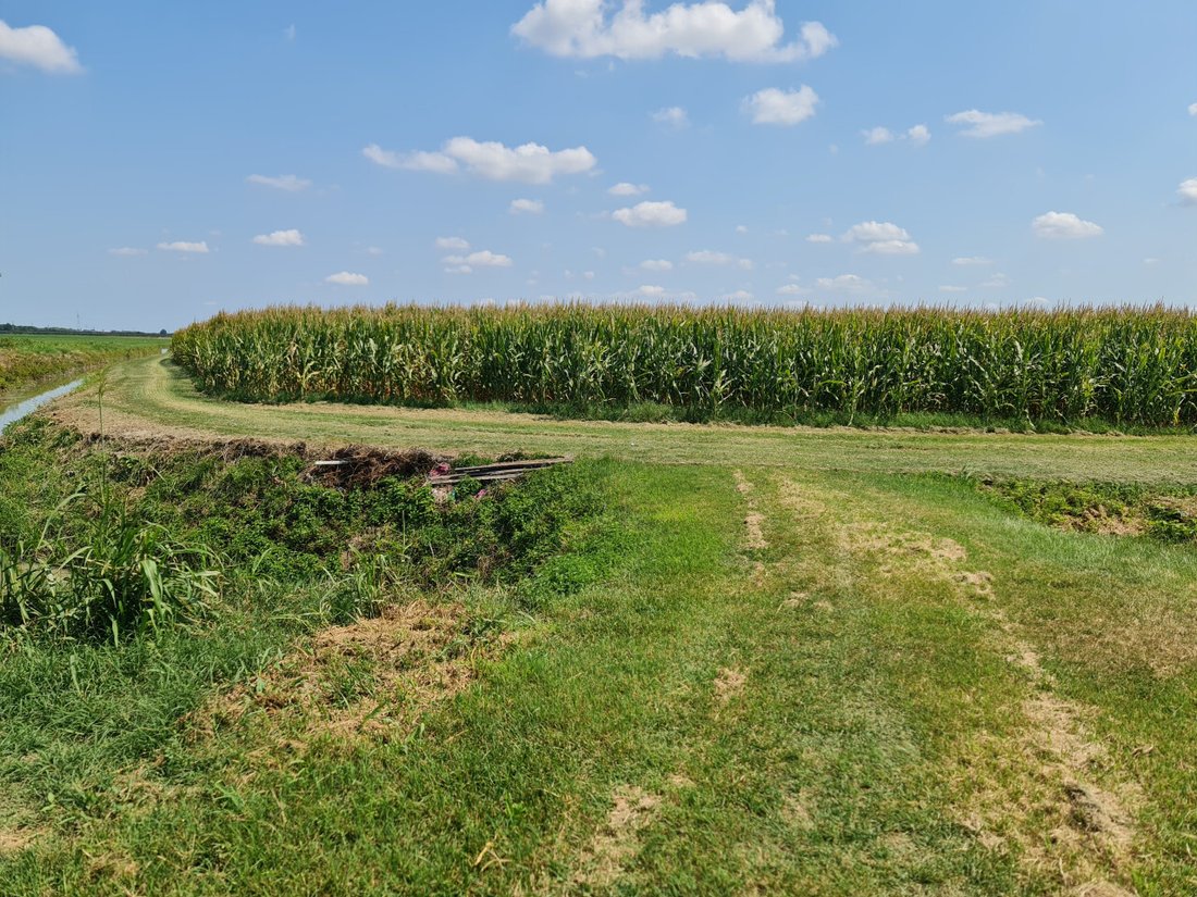 Land in Lendinara, Veneto, Italy 2 - 16614963